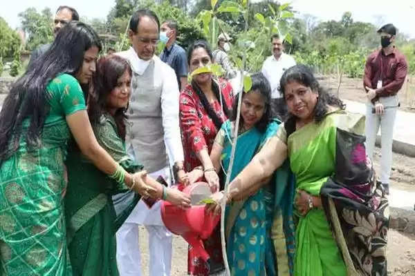 CM चौहान ने बरगद, नीम और पारिजात के पौधे लगाए