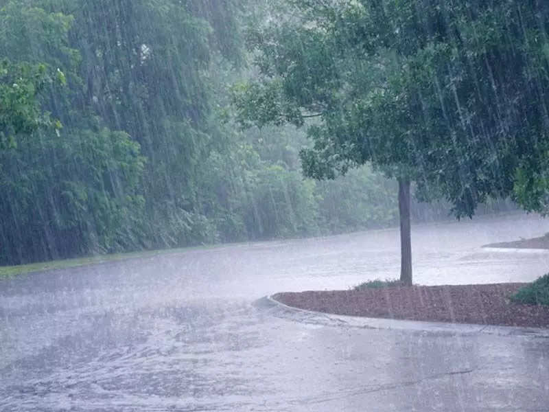 अधिक वर्षा वाले क्षेत्रों में लेही पद्धति और कम वर्षा वाले क्षेत्रों में कतार बोनी करें