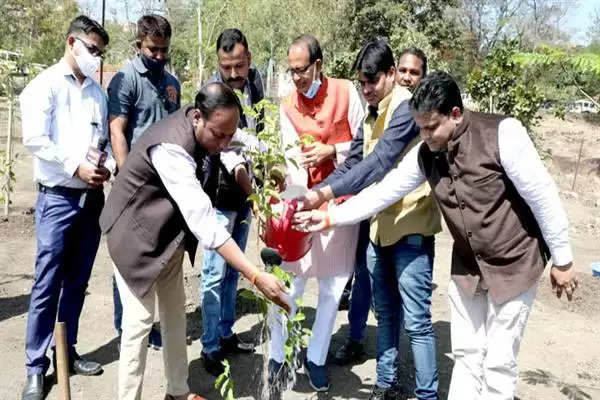 CM चौहान ने मौलश्री और गुलमोहर का पौधा लगाया