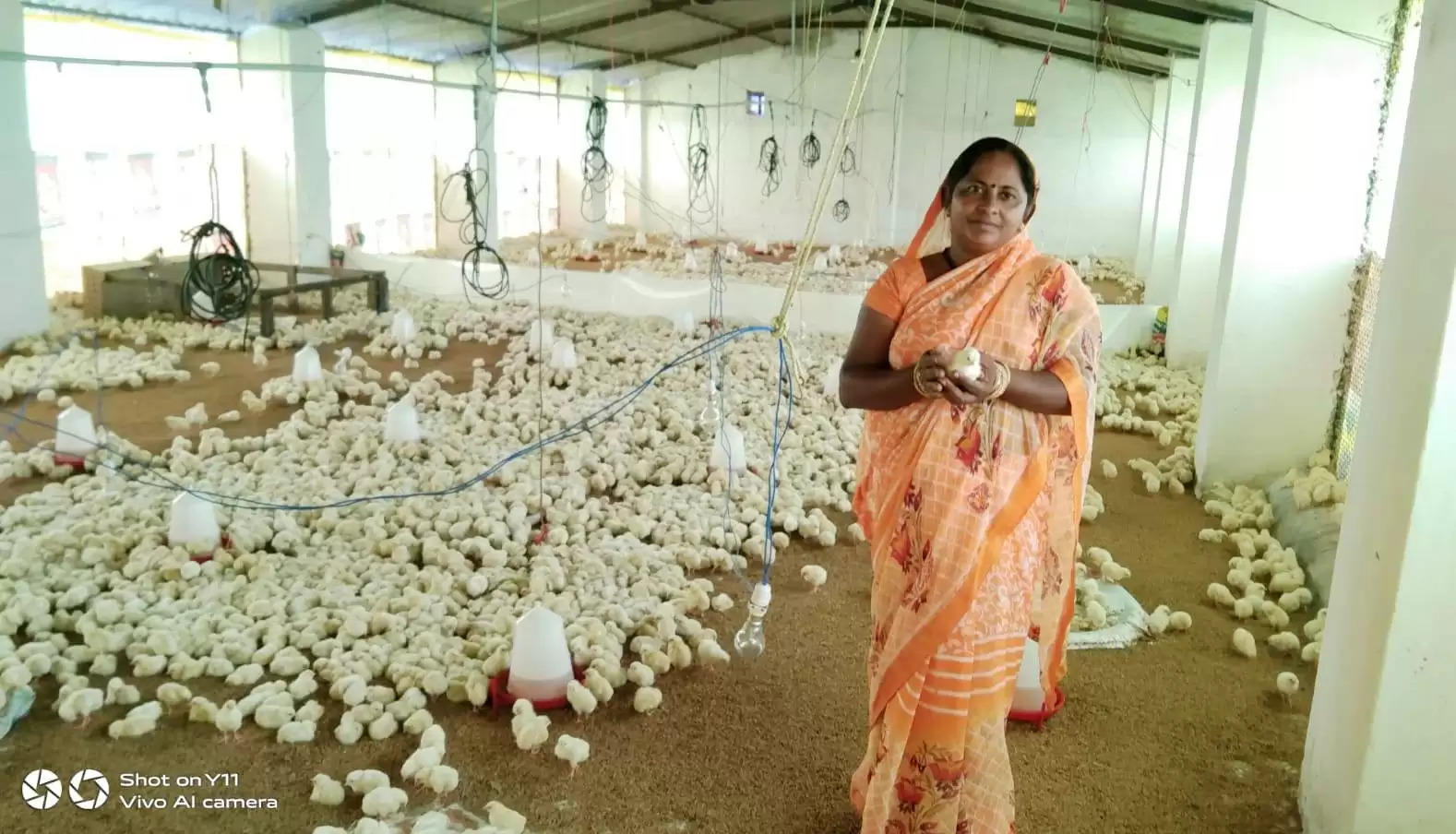 गौठान की छोटी सी मुर्गीपालन यूनिट से 12 हजार चूजों के बड़े पोल्ट्री फार्म तक का सफर एक साल में