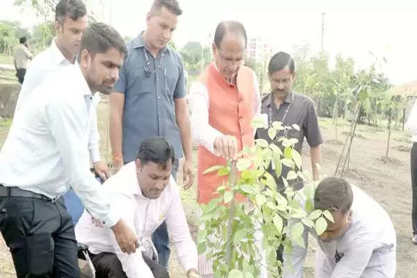 CM चौहान ने स्मार्ट सिटी उद्यान में पौधे रोपे