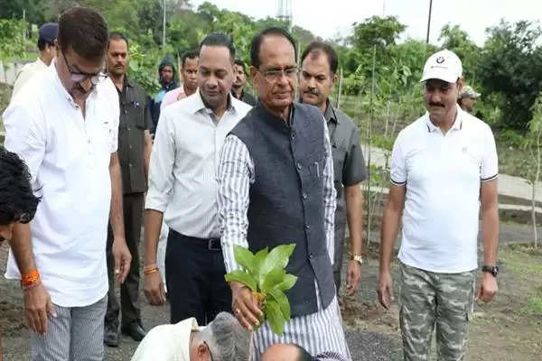 CM चौहान ने पीपल, नीम और बादाम के पौधे लगाए