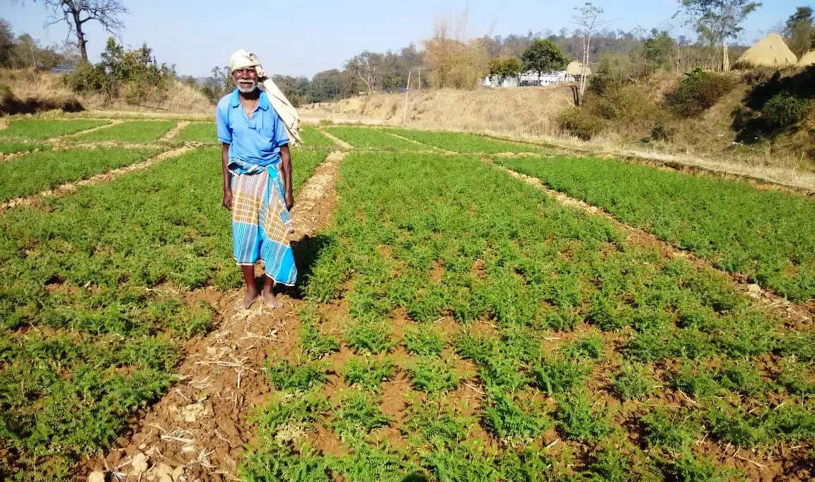 राजीव गांधी किसान न्याय योजना से खेती किसानी को मिल रहा प्रोत्साहन : किसान जयनाथ