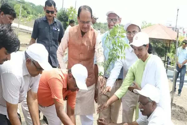 CM चौहान ने रोपे नीम, बरगद और मौलश्री के पौधे