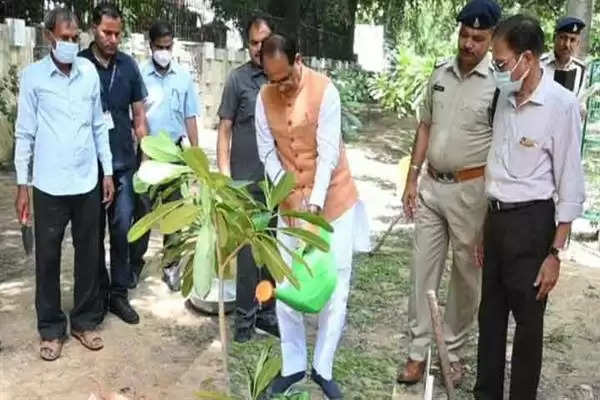 CM चौहान ने दिल्ली प्रवास पर किया पौध-रोपण