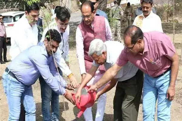 CM चौहान ने नीम और बरगद के पौधे लगाए