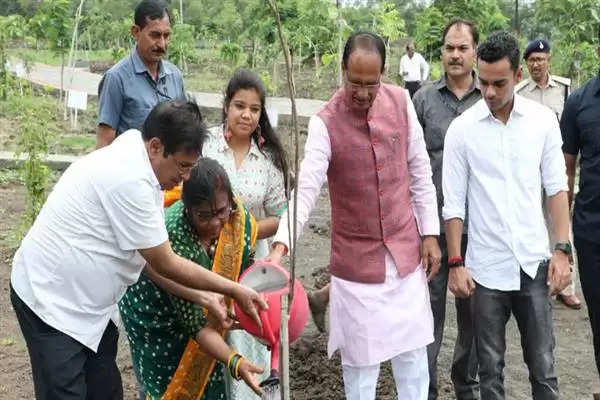 CM चौहान ने नीम, बरगद और गूलर के पौधे रोपे