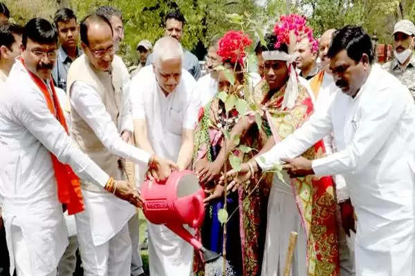 CM चौहान ने कुशाभाऊ ठाकरे सभागार परिसर में किया पौध-रोपण