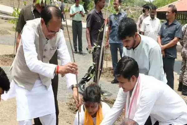 CM चौहान ने बरगद, नीम और करंज के पौधे लगाए