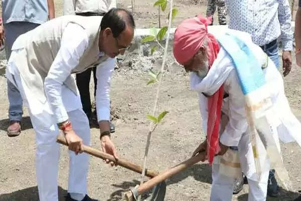 CM चौहान ने बरगद, नीम और सप्तपर्णी के पौधे लगाएमाउंटेन मेन जोशी ने भी रोपे पौधे
