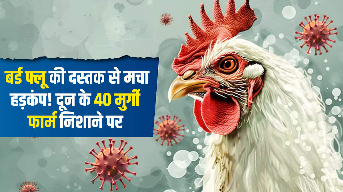 बर्ड फ्लू की दस्तक से मचा हड़कंप! दून के 40 मुर्गी फार्म निशाने पर