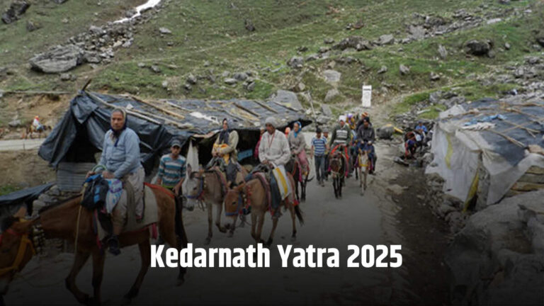 उत्तराखंड यात्रा से पहले 16,000 घोड़ों की जांच, डॉक्टरों की स्पेशल टीम अलर्ट मोड पर 