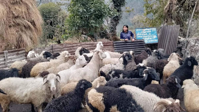 चमोली की महिलाओं का कमाल, ग्रामोत्थान योजना से 408 महिलाएं बनीं आत्मनिर्भर 